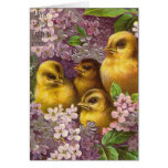 Easter Chicks Greeting Cards