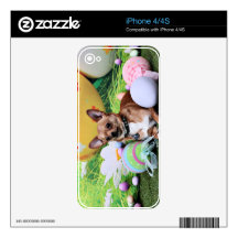 Easter - Chihuahua - Rambo Skin For iPhone 4S