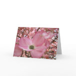 EASTER Colors Warmth Peacefulness Cards