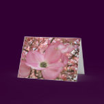 EASTER Colors Warmth Peacefulness Cards