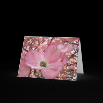 EASTER Colors Warmth Peacefulness Cards