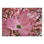 EASTER Colors Warmth Peacefulness Cards