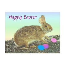 Easter Cottontail Postcard