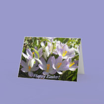 Easter Crocus Greeting Card cards