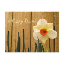 Easter Daffodil postcards by dizzypixels Easter Daffodil postcards