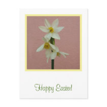 Easter Daffodil Postcard