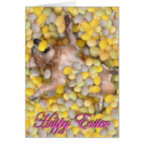 Easter Doggy cards