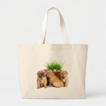 Easter Dogue de Bordeaux pups Bags