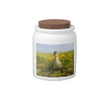 Easter Duckling Candy Jar