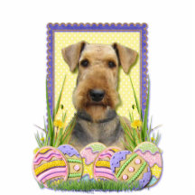 Easter Egg Cookies - Airedale Photo Sculpture