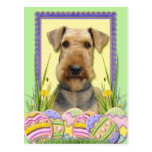 Easter Egg Cookies - Airedale Post Card