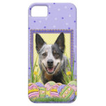 Easter Egg Cookies - Australian Cattle Dog iPhone 5 Cases