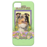 Easter Egg Cookies - Australian Shepherd iPhone 5 Case