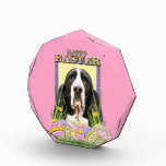 Easter Egg Cookies - Basset Hound - Jasmine Award