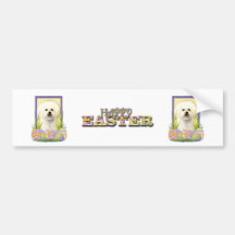 Easter Egg Cookies - Bichon Frise Bumper Stickers