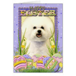 Easter Egg Cookies - Bichon Frise Cards