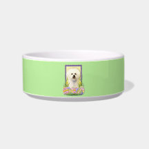 Easter Egg Cookies - Bichon Frise Cat Water Bowl