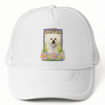Easter Egg Cookies - Bichon Frise Hat