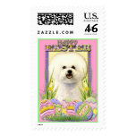Easter Egg Cookies - Bichon Frise Postage