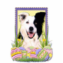 Easter Egg Cookies - Border Collie Acrylic Cut Out