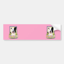 Easter Egg Cookies - Border Collie Bumper Sticker