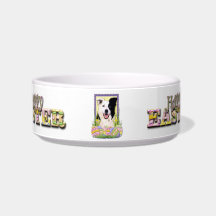 Easter Egg Cookies - Border Collie Cat Water Bowl