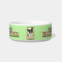 Easter Egg Cookies - Boston Terrier Cat Water Bowls