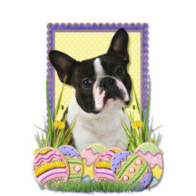 Easter Egg Cookies - Boston Terrier Acrylic Cut Outs