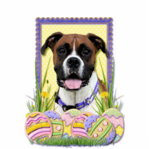 Easter Egg Cookies - Boxer Cut Out