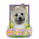 Easter Egg Cookies - Cairn Terrier Photo Cutouts