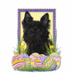 Easter Egg Cookies - Cairn Terrier Photo Sculpture