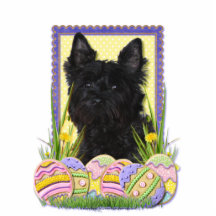 Easter Egg Cookies - Cairn Terrier Photo Sculpture