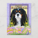 Easter Egg Cookies - Cavalier - Tri-color Post Card