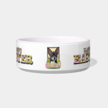 Easter Egg Cookies - Chihuahua Cat Bowls
