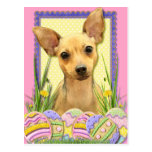 Easter Egg Cookies - Chihuahua - Daisy Postcard