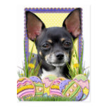 Easter Egg Cookies - Chihuahua Post Card