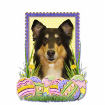 Easter Egg Cookies - Collie Acrylic Cut Outs