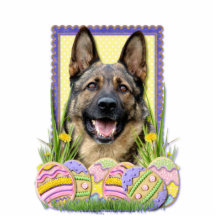 Easter Egg Cookies - German Shepherd Acrylic Cut Outs