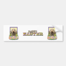 Easter Egg Cookies - GoldenDoodle Bumper Stickers