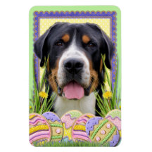 Easter Egg Cookies - Greater Swiss Mountain Dog Magnets