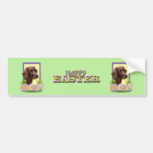 Easter Egg Cookies - Irish Setter Bumper Sticker