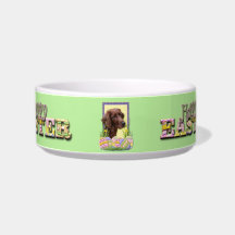 Easter Egg Cookies - Irish Setter Cat Water Bowls