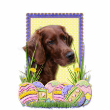 Easter Egg Cookies - Irish Setter Photo Sculptures