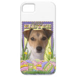Easter Egg Cookies - Jack Russell iPhone 5 Cases