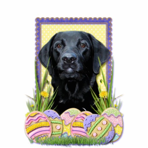 Easter Egg Cookies Labrador Black Statuette Zazzle
