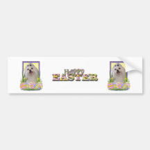 Easter Egg Cookies - Maltese Bumper Stickers