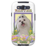 Easter Egg Cookies - Maltese Galaxy SIII Covers