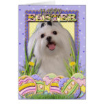 Easter Egg Cookies - Maltese Greeting Cards