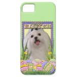 Easter Egg Cookies - Maltese iPhone 5 Case