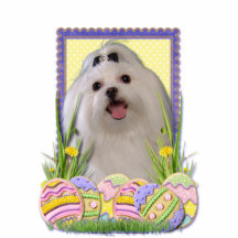 Easter Egg Cookies - Maltese Photo Cutouts